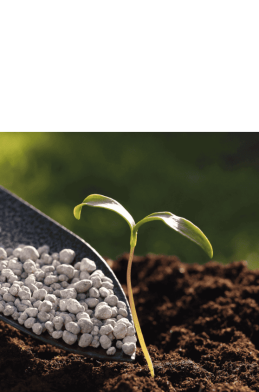 Plant crop products